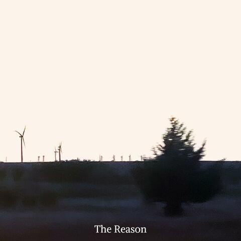 The Reason