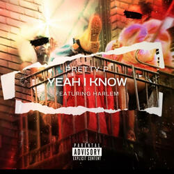 Yeah I Know (feat. Harlem)