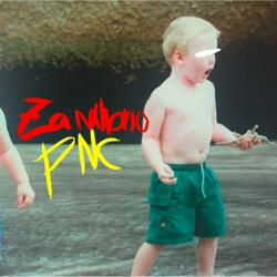 9130 PNC 2