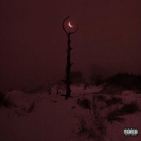 Abandoned_Demo_02