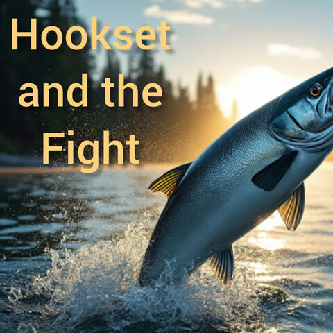 Hookset and the Fight