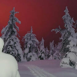 Impressive freestyle