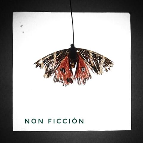 Non Ficción