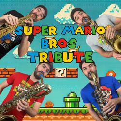 Super Mario Bros. Tribute