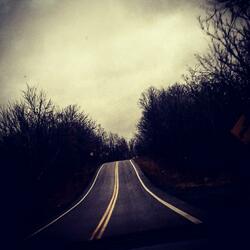 Walks Home in the Dark