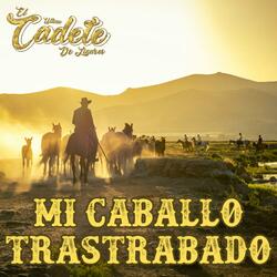 Mi Caballo Trastrabado