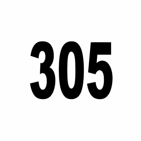 305 (feat. JLANDE)