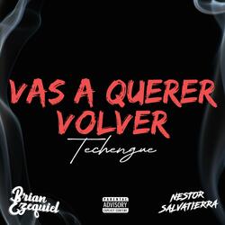 Vas a querer volver (Timbalero) (feat. Nestor Salvatierra)