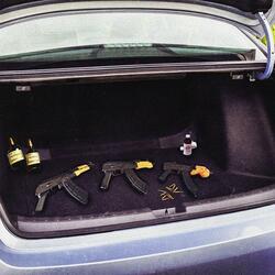 trunk