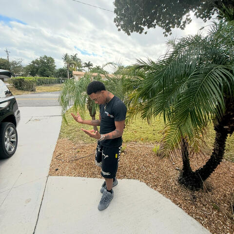 Tropical Vibe