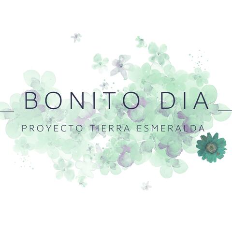 Bonito Día