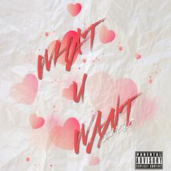 What U Want