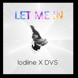 Let Me In (feat. Iodiine)