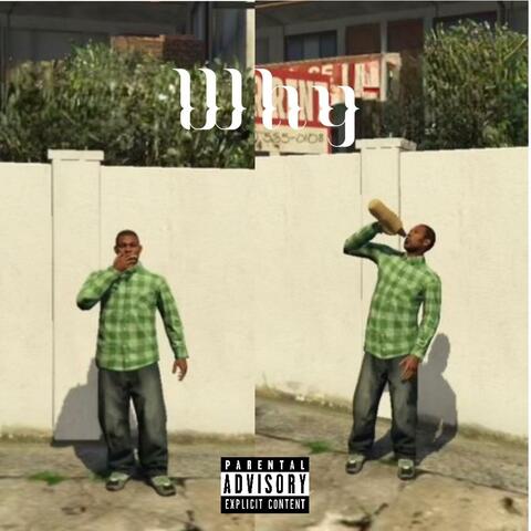 Why (feat. TonnyTezzy & Errybodylovesjj!)
