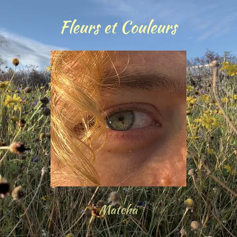 Fleurs et couleurs