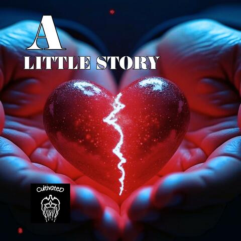 A LITTLE STORY