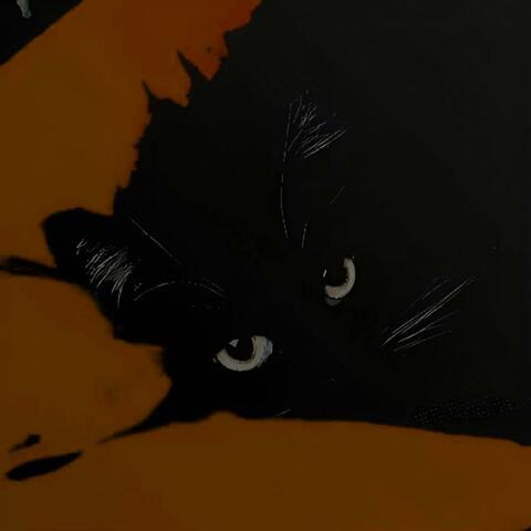 Bleed (Slowed)