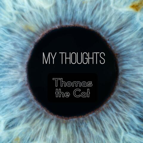 My Thoughts
