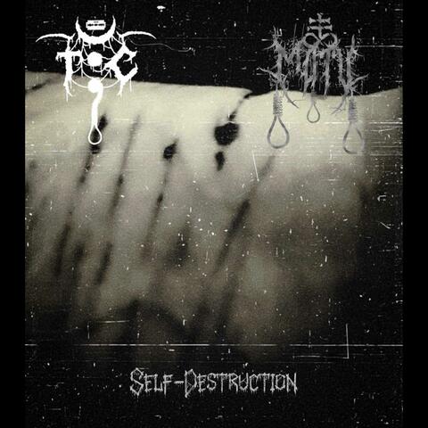 Self-Destruction