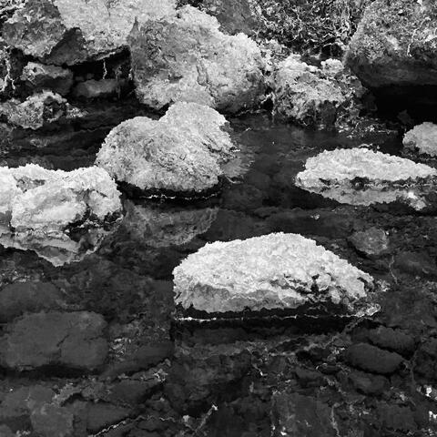 Stepping Stone
