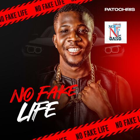 NO FAKE LIFE