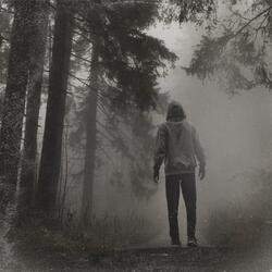 Under Grey Skies