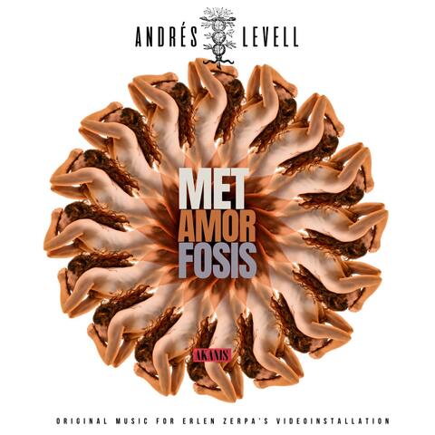 MET AMOR FOSIS