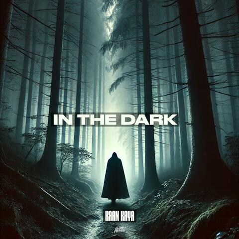 In The Dark