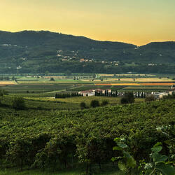 IHAC (feat. Bdr!ppyy)