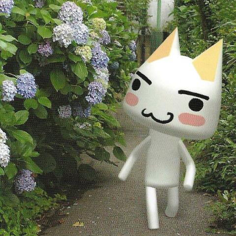 BLOOM