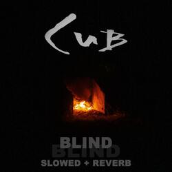 Blind (Slowed + Reverb)