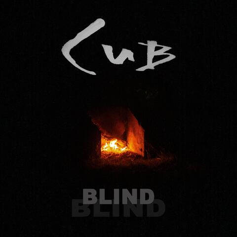 Blind
