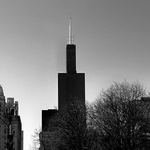 Chicago Nights