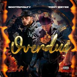 DOT & WEYEZ