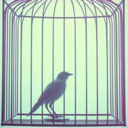 Save You From Yourself