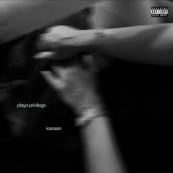 Playa Privilege