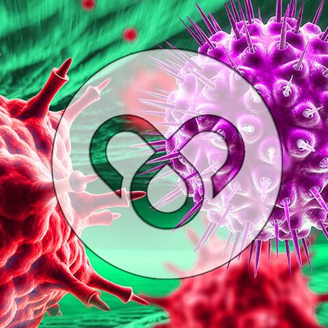 Grippevirus