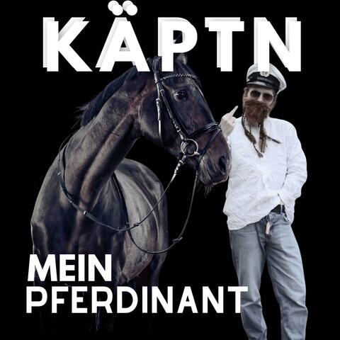 Mein Pferdinant