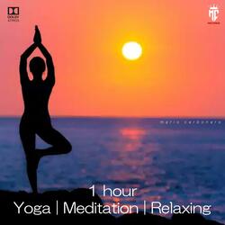 1 Hour Yoga, Meditation, Relaxing Piano Music