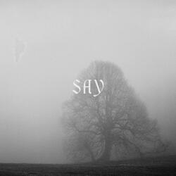 Say