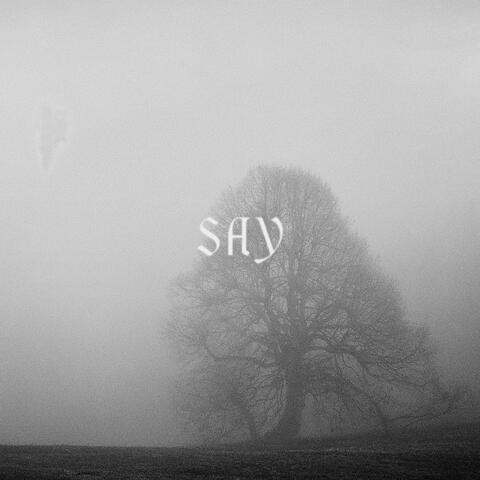 Say