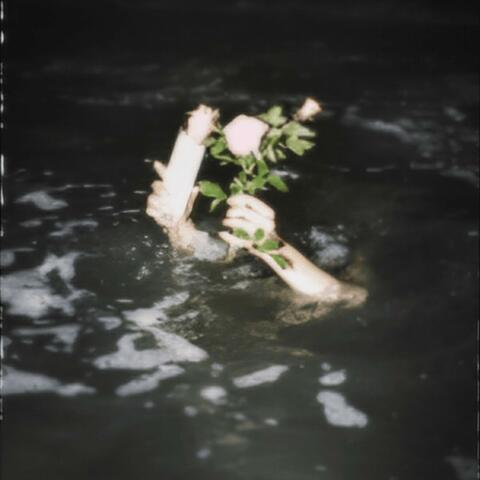 i just cant live without it