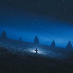 blue nights