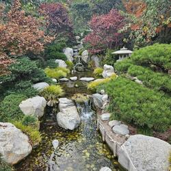 Rock N Roll ('Til The Cows Come Home)