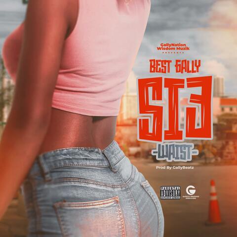 SI3