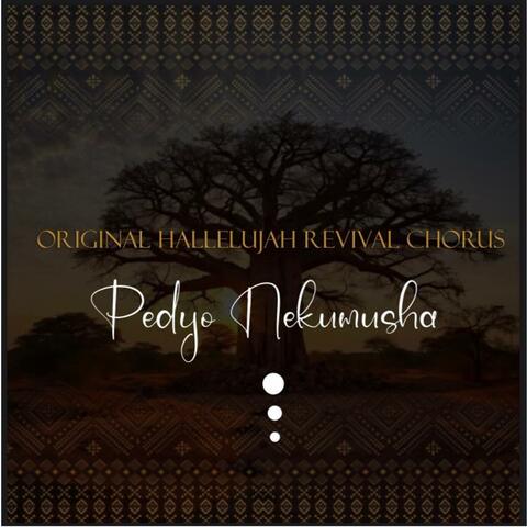 Pedyo Nekumusha