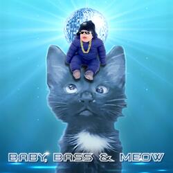 Baby, Bass & Meow