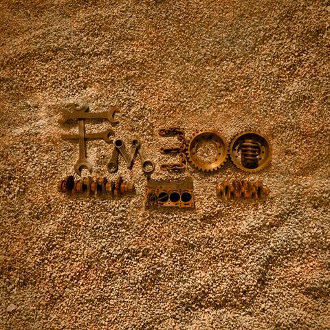 FM 300