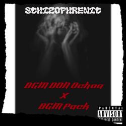 Schizophrenic (feat. BGM Pack)