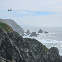 Dragon Roost Island (From "The Legend of Zelda: The Wind Waker")